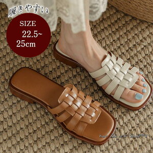 T_ fB[X ~[ n tbgT_ Xbp r[`T_ JWA AEghA  ̓ v[g i