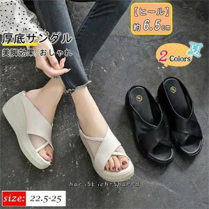 T_ EGbW\[ fB[X  ~[ {v 6.5cm bV Xbp q[   C r r RtH[g 