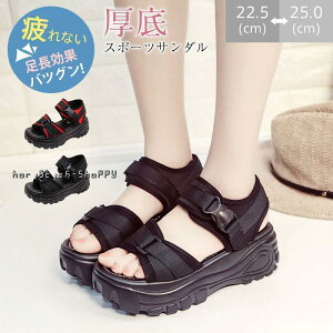 T_ fB[X X|[cT_ r[`T_  Xj[J[T_ T}[ ʋC ₷ Ȃ JWA V[Y