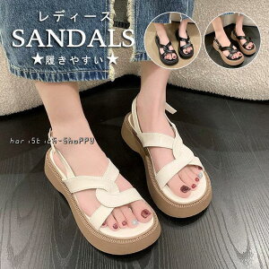 T_ fB[X X|[cT_ r[`T_ T}[   Xj[J[T_ r Xbp Ȃ JWA V[Y