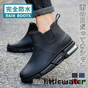 Cu[c CV[Y Y fB[X h h C ~J J΍  RȂ NbV AEghA ނ  ʋ ʊw