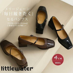 [WF[pvX [t@[ fB[X XgbvT_ [q[ n 25.0cm  XNGAq[ r  JWA ɂ