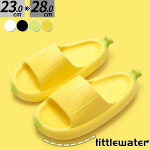 T_ Xbp  oii  킢 fB[X Y jZbNX  ؂  r[`  