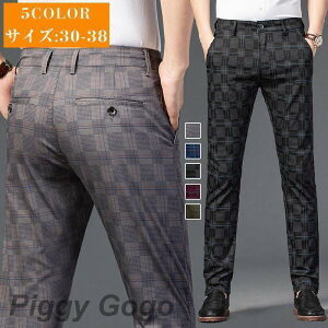 StEFA Y pc Stpc@H Y{ Opc `FbN C[W[pc ʋC JWA  jp am