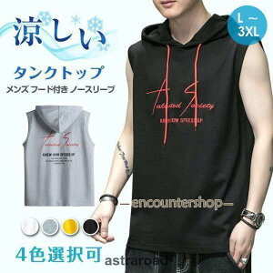 Yt@bV^Ngbv Y t[ht m[X[u gbvX  ^Ngbv TVc Ȃ  X|[cEFA  ^