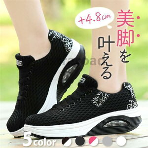 Xj[J[ fB[X  C EH[LOV[Y i[XV[Y   r Ȃ y