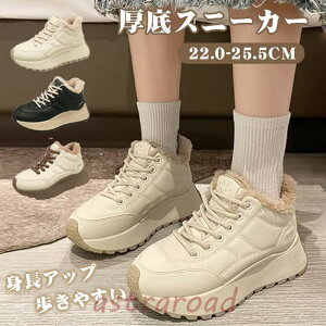  Xj[J[ fB[X N Xj[J[ Xm[u[c fB[X C ꂢ   ₷ y  Xj[J[ EH[LO