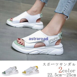 X|[cT_  ₷ X|T tbgT_ Xj[J[T_ fB[X RtH[gT_ V JWA C sandal Ȃ 