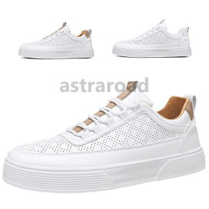 Xj[J[ Y zCg tFCNU[Xj[J[ C V[Y ʋC 2024 t@bV