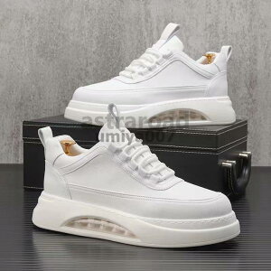 Xj[J[ Y C Xj[J[ EH[LOV[Y JWAV[Y hCrOV[Y ʊwC