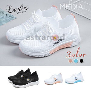 Xj[J[ pvX RtH[gV[Y V[Y fB[X C JWAV[Y   킢 V