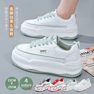 Xj[J[ fB[X C X|[cV[Y V[Y ~ h r r ₷ Ȃ ɂȂ ʋC Vv ʋ ʊw 