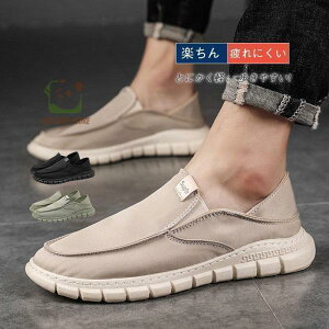 yX[p[Z[zXj[J[  am ̓ v[g Mtg Y y ᔽ I[V[Y ɂ t  H ɂ JWA