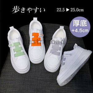 Xj[J[ fB[X V[Y ʋΒʊw Xj[J[ [Jbg rV[Y ₷ Ȃ tbg ؂ ʋC