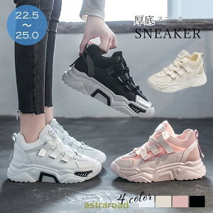 _bhXj[J[ fB[X ؍ Xj[J[  _bhXj[J[ ʊw _bh V[Y 