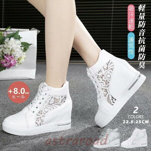 Cq[Xj[J[ Xj[J[ fB[X nCJbg   킢 ؍ Xj[J[ bV Cq[ 8cm [XAbv ʋC Ȃ