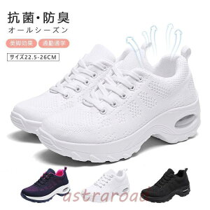 Xj[J[ fB[X  V[Y C EH[LOV[Y U  jOV[Y L ^C y Ȃ i ₷ ʋC