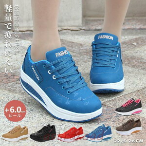 Xj[J[ fB[X _CGbgV[Y  킢 i[XV[Y p D^ EH[LOV[Y ƌC ₷ 40 50