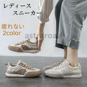 Xj[J[ fB[X  40  I[V[Y H t C ₷ ʋ y Ȃ ʊw X|[c AEghA lJWA