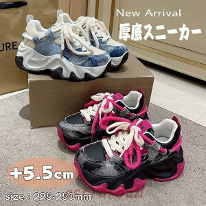 Xj[J[ _bhXj[J[ [XAbv  C V[Y fB[X [JbgXj[J[ Cq[ r gAbv X|[c EH[LO