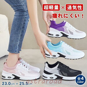 Xj[J[ fB[X Y jOV[Y GA[NbV X|[c EH[LO WMO y ʋC h r JWA bV ʊw ʋ