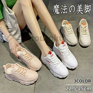 _bhXj[J[ fB[X  ؍ Cq[ PU ^C ʋC I[V[Y 5Z`q[ y r [XAbv R [Jbg wȂC