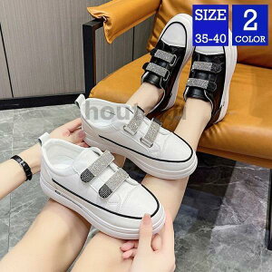 fB[X Xj[J[ C V[Y JWA 킢 ₷  LL