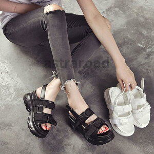 fB[X T_@ā@T}[T_@@C r[T T{T_ 킹₷ ₷@JWA  ɂȂ r