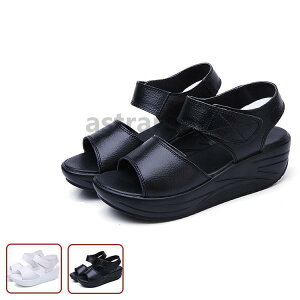 fB[X T_@ā@T}[T_@@C r[T T{T_ ₷@JWA  ɂȂ r