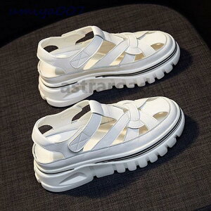 fB[X T_@ā@T}[T_@@C r[T T{T_ ₷@JWA  ɂȂ r