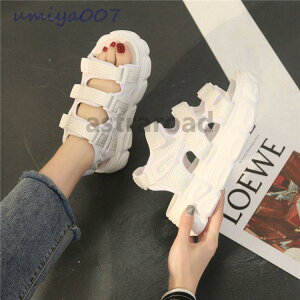 fB[X T_@ā@T}[T_@@C r[T T{T_ ₷@JWA  ɂȂ r