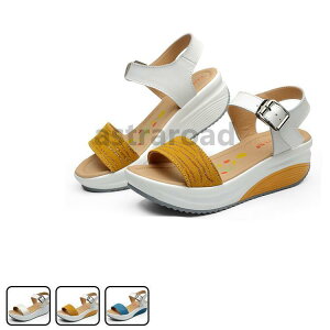 fB[X T_@ā@T}[T_@@C r[T T{T_ ₷@JWA  ɂȂ r