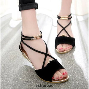 EFbW\[ T_ fB[X V[Y q[ Ȃ Vv ₷  n r 傫TCY t Ղ