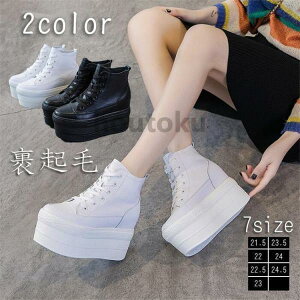 Xj[J[ ؍ Cq[ y  Xj[J[ nCJbgXj[J[   C TCY 傫TCY Ȃ wC ʊw