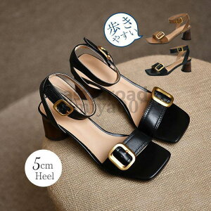 T_ q[ T_ JWA fB[XV[Y ₷ Ȃ  AEghA ʊw ʋ nCq[ r Ȃ