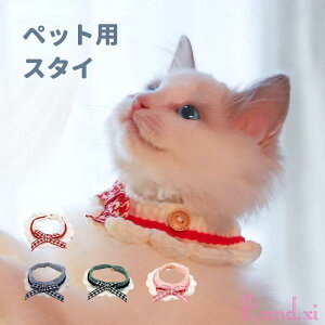 ybgt@bV ybgpX^C { Lp 悾ꂩ ybgpi L   `[J[ ANZT[ lN^C 