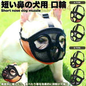   }Y Z@̌ ̌ ʖi ݂ EHh~ }XN bV