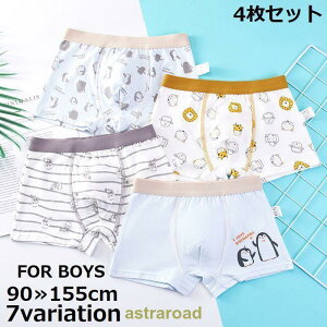 {NT[pc {NT[t qp 4Zbg LbY j̎q  vg  Ci[  {bNXV[c   Aj} 