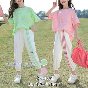 q  W[W ̎q ㉺Zbg XEFbg TVc pc LbY _XEFA X|[cEFA  JWA