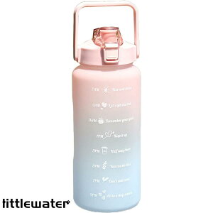  2bg bpat[ 2l  Xg[ 2bgƂ X|[c ߂郁tEH[^[{g  2l