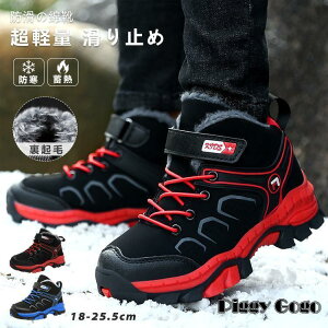 qC Xj[J[ ~ j̎q ̎q ۉ oRC EC^[V[Y Xj[J[ N ~pC h g LbY WjA ~ JWA 