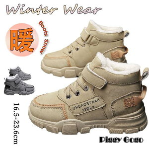 Xm[u[c LbY WjA h ̎q j̎q V h g N H~ EB^[u[c hu[c qC V[gu[c 킢 