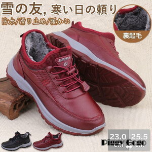 Xm[u[c oRC Xm[V[Y fB[X h C ZC V[gu[c h N ~ Ήh ~  EB^[ JWA