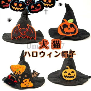 yX[p[Z[zybgnEBXq  L ybgRX`[ ybgRXvXqnEB nEBߑ nEBXq  L