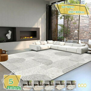 500 ���O �J�[�y�b�g �k���e�C�X�g �J���[ 120*160 �}�b�g ���� �I�V���� ������ꃉ�O �}�b�g �􉽊w�͗l�͗l ���O �� �ėp �ă��O �V���� �܂肽���݉� �y�� ���O�}�b�g �O�~ �A�N�Z���g���O 