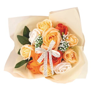 �\�[�v�t�����[ �ԑ� 12�� �o�� ���� �M�t�g �v���[���g �u�[�P ��26cm �N���A�o�b�O�t�� �C�G���[ �V���{���t�����[