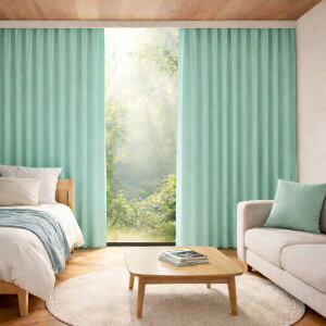 �Ռ��J�[�e�� 1�� �h�� ��200×��160cm 1�� ���{�� �ՔM �f�M �ۉ� �h�� �V�[�O���[�� ���n �V���v�� �ߓd�΍� �����i �`��L�����H