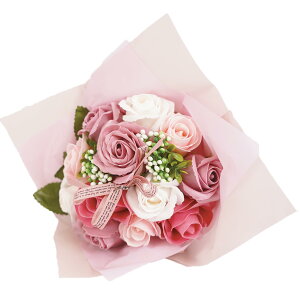 �\�[�v�t�����[ �ԑ� 12�� �o�� ���� �M�t�g �v���[���g �u�[�P ��26cm �N���A�o�b�O�t�� �X���[�L�[�s���N �V���{���t�����[