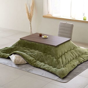 [�R�P] �����������|���z�c 2�_�Z�b�g �����` 105×70cm 300W �z�c���o�[�V�u�� HLT-10570(WBR) �����z�c�Z�b�g (�����E�H���i�b�g�u���E���E5_�z�c�I���[�u/�E�H���i�b�g�u���E��)
