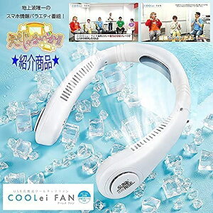 �l�b�N�N�[���[ ��|����@ ��p�v���[�g�t�� �H�Ȃ� �É� �啗�� USB�[�d�� 4000mAh 3�i�K���ʒ��� �g�ѐ�@ �n���Y�t���[ �M���Ǒ΍� �u�ԗ⊴ �y�� �|�[�^�u����@ ��l�p ���̖ъ���